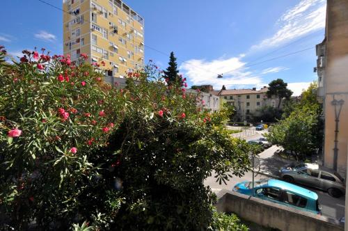 Sunny Center apartment