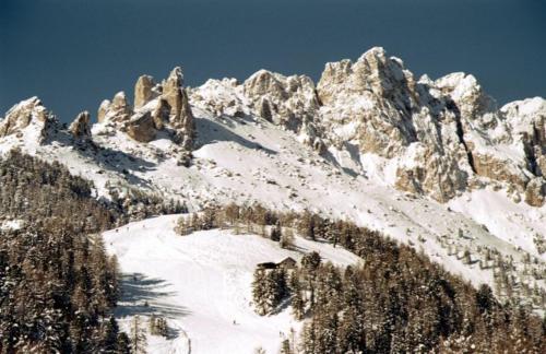 a snow covered mountain with trees on it at Hotel San Giovanni in Vigo di Fassa