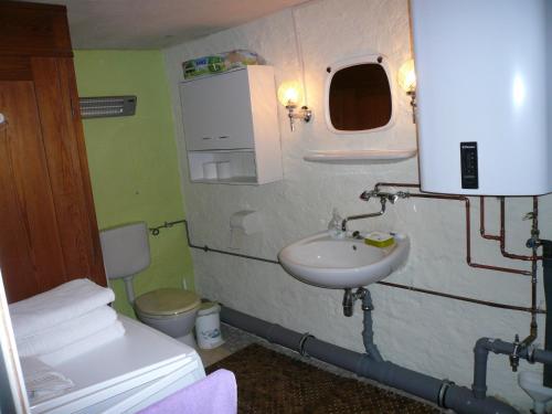 a small bathroom with a sink and a toilet at Adventure House (Abenteuerferienhaus) in Rechenberg-Bienenmühle