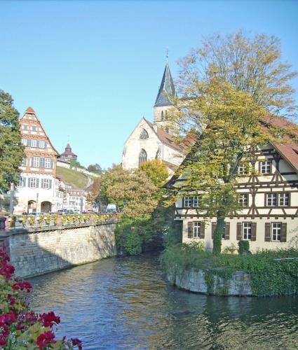 a river in a town with houses and buildings at Hotel Berkheimer Hof in Esslingen