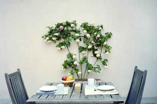 a table with a flower arrangement on a wall at Fattoria di Rignana Winery BnB in Greve in Chianti