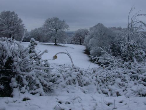 a snow covered garden with bushes and trees at Cottage 2 personnes in Lormes