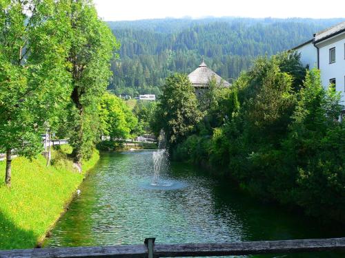 a river with a fountain in the middle of it at Der Torwirt Radstadt in Radstadt