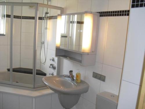 uma casa de banho com um lavatório, um espelho e um WC. em Assmanns Ferienwohnungen Ost em Miltenberg