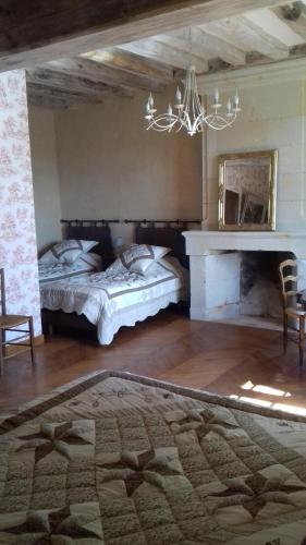 a bedroom with two beds and a fireplace and a chandelier at Manoir de La Fontaine Du Chêne in Coutures