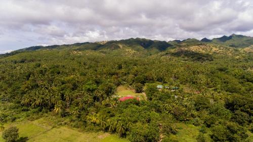an aerial view of a forest with mountains in the background at Bohol White House Bed & Breakfast in Lila