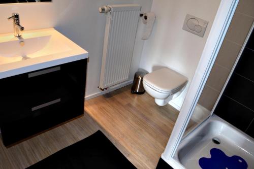 un bagno con wc, lavandino e doccia di Nena Guesthouse a Lovanio