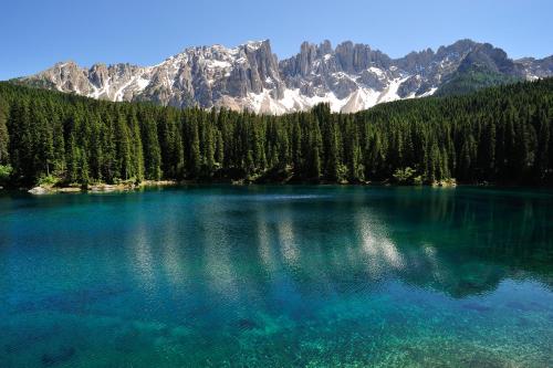 a blue lake with trees and mountains in the background at Residence Grand Hotel Carezza in Nova Levante