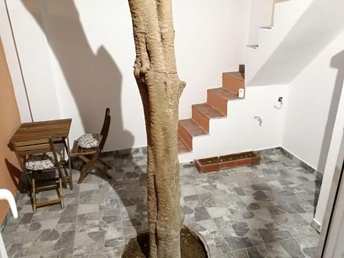 a tree in the middle of a room with stairs at Apartamentos Villajovita in Ceuta