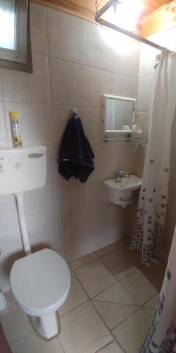a bathroom with a toilet and a sink at kinneret love sounds in Migdal