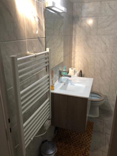 une salle de bain avec un lavabo et des toilettes dans l'établissement Studio Centre Historique Sarlat, à Sarlat-la-Canéda