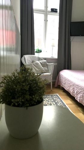 a living room with a potted plant in front of a window at Hotell Kungsängstorg in Uppsala