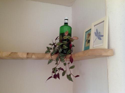 a bottle of wine on a shelf with a plant at Devon Eco Lodges in Winkleigh