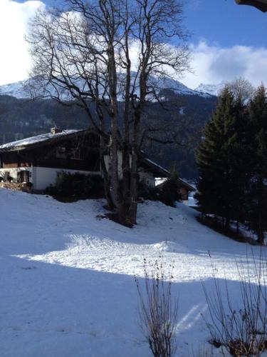 a tree in the snow in front of a house at Haus Fless 7 in Klosters Dorf