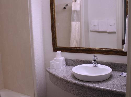 W łazience znajduje się biała umywalka i lustro. w obiekcie Wine Country Inn w mieście Fredericksburg