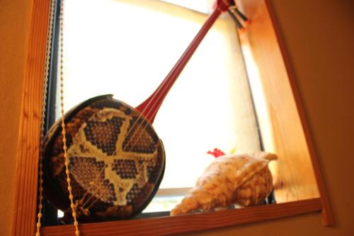 a cat sitting on a window sill in front of a mirror at Okinawa Minshuku Kariyushi in Shirahama