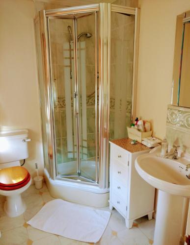 a bathroom with a shower and a toilet and a sink at Grove House Bed & Breakfast in York
