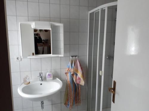 uma casa de banho com um lavatório e um chuveiro em Ferienwohnung em Reinhardtsdorf
