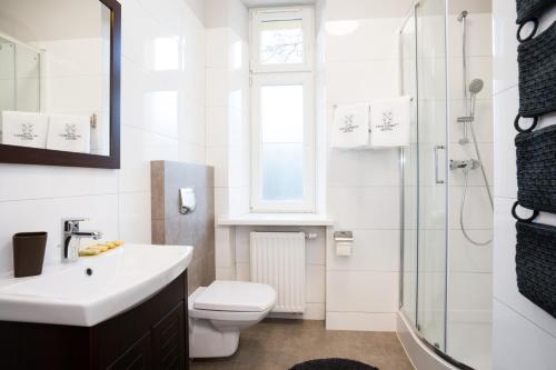 a bathroom with a toilet and a sink and a shower at Apartamenty Bystra in Bystra