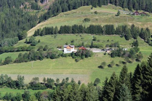a house on top of a green hill with trees at Leitnerhof in Terento