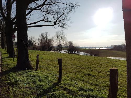 a fence in a field next to a tree at Hotel Villa Verde in Düsseldorf