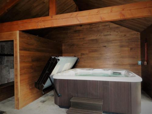 a jacuzzi tub in a room with wooden walls at Domaine des Marequiers le Gite Aigremoine in Saint-Germain-du-Teil