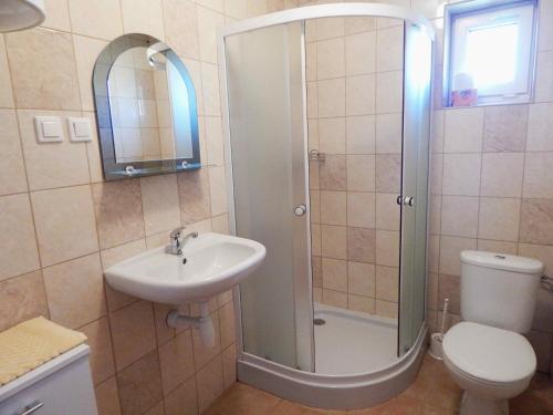 a bathroom with a shower and a sink and a toilet at Chalupa u dedu a babky in Liptovský Trnovec