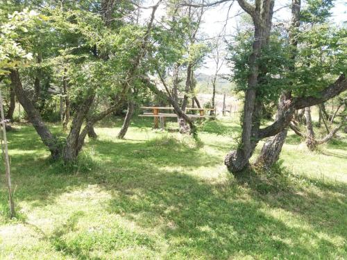 a park with trees and a bench in the grass at Cabañas Rincon del Sur in Cochrane