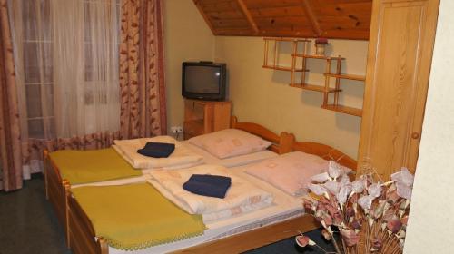 two twin beds in a room with a tv at Karkoz in Karpacz