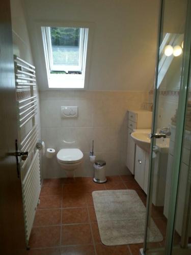 a bathroom with a toilet and a sink and a window at Haus Schönblick in Bad Bertrich