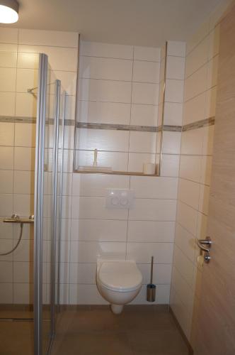 a bathroom with a toilet and a shower at Braumeister Döbler - Ferienwohnungen in Bad Windsheim