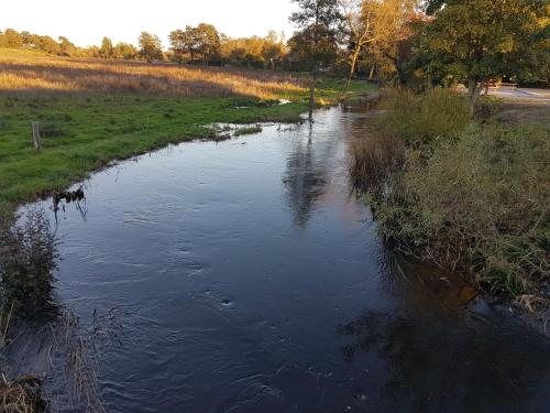 a small river in the middle of a field at Sdr. Omme Bed & Breakfast in Sønder Omme