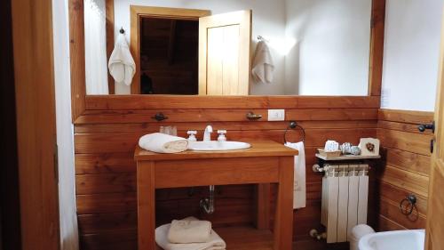 a bathroom with a sink and a mirror at Hosteria El Establo in Villa La Angostura