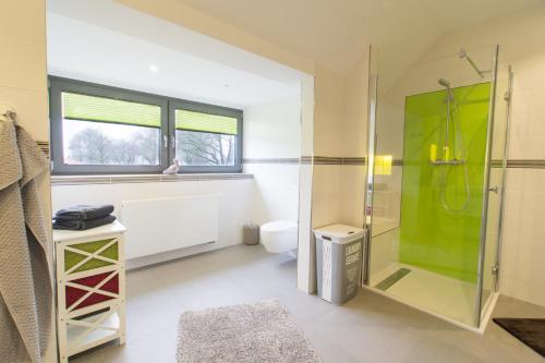 ein Bad mit einer Glasdusche und einem WC in der Unterkunft LANDLOFT am Paradies in Westerstede