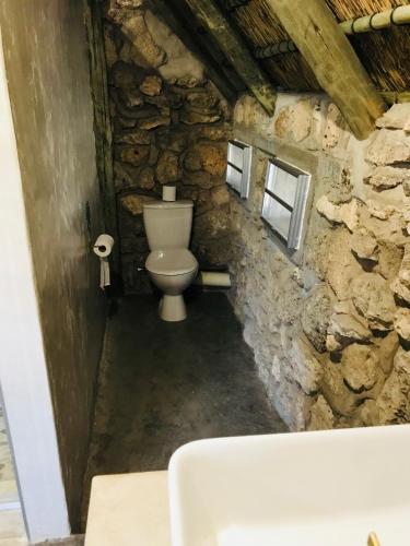 a bathroom with a toilet in a stone wall at Sasa Safari Camp & Tours in Outjo