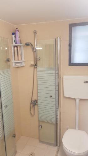 a bathroom with a shower and a toilet and a sink at Zohar's Apartment in Haifa