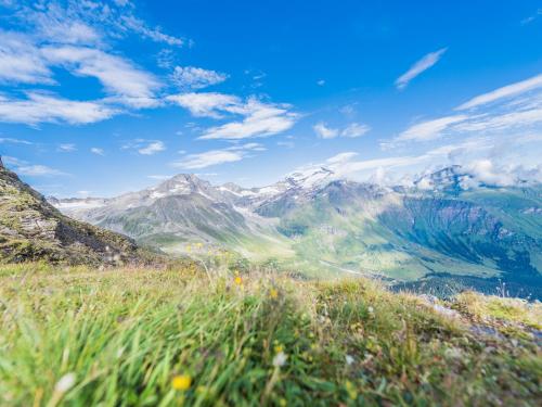 a view of a mountain range from a grassy hill at Appartement-Pension Fahrnberggut in Rauris