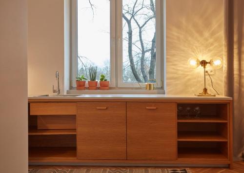 eine Küche mit einem Waschbecken und einem Fenster in der Unterkunft Warsaw Concierge Saska Studio in Warschau