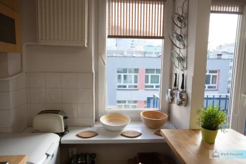 ワルシャワにあるWarsaw Concierge Zlote Tarasy Apartmentの窓際のカウンターに2杯の鉢が付いたキッチン