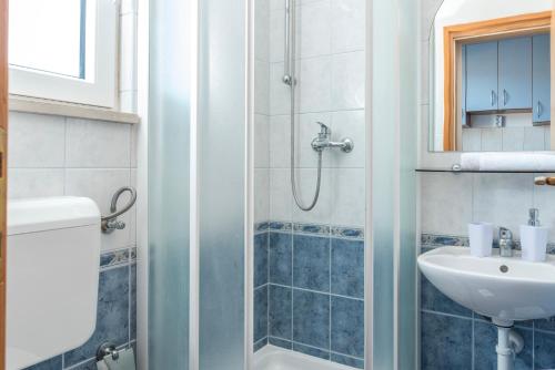 Koupelna v ubytování Apartments Ivana-Gustirna