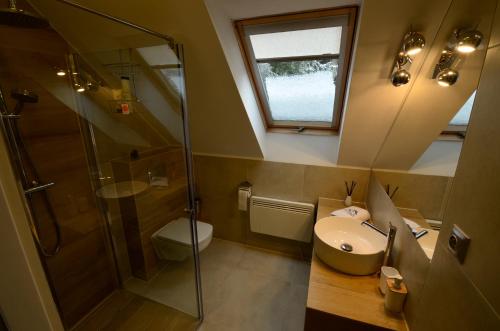 ヴィスワにあるChata pod skocznią Wisła Malinkaのバスルーム(シャワー、洗面台、トイレ付)