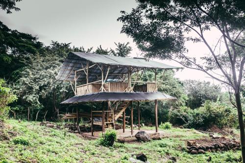 a tree house with a roof on a hill at Finca La Magia in Ometepe