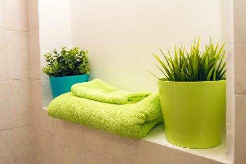 zwei Topfpflanzen auf einem Regal in einem Badezimmer in der Unterkunft Appartamento Montenero in Pozzallo