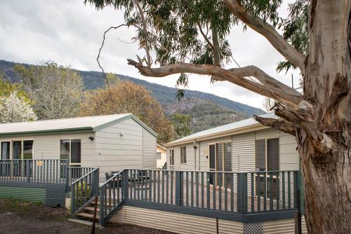 a house that has a tree in front of it at The Peaks Halls Gap in Halls Gap