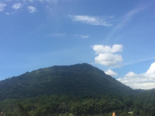 Gallery image of Yaya's Homestay in Rantepao