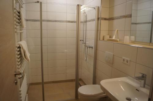 a bathroom with a shower and a toilet and a sink at Braumeister Döbler - Ferienwohnungen in Bad Windsheim