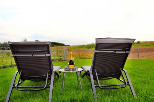 dwa krzesła i stół z butelką wina w obiekcie Ferien_VILLA SANSIBAR w mieście Göhren-Lebbin