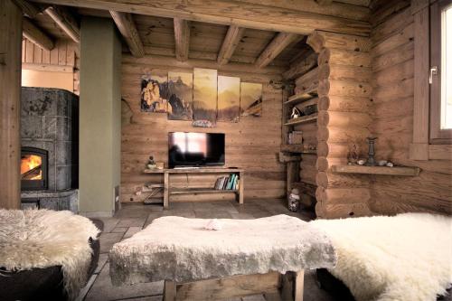 a living room with a tv and a wooden wall at Oybiner Blockhaus und Ferienwohnungen in Hain
