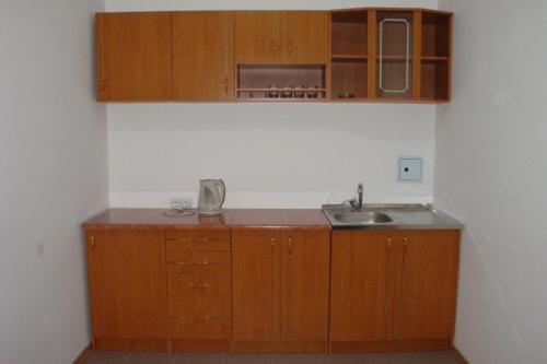 a kitchen with wooden cabinets and a sink at Art Avenue ApartHotel in Lviv