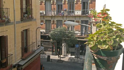 una persona caminando por una calle con una planta en Hostal San Antonio, en Madrid